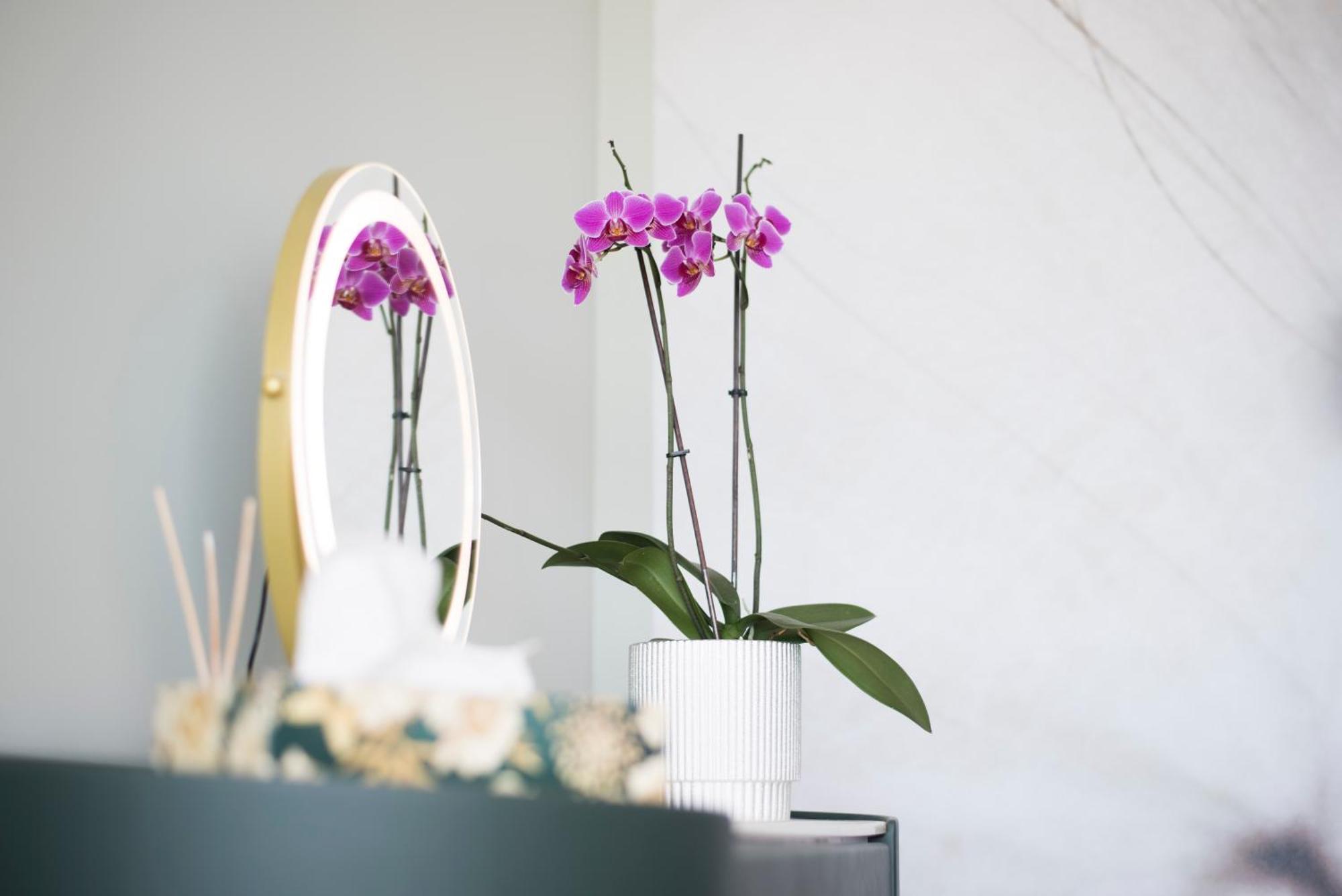 Horizont Apartman Alsóörs Exteriér fotografie